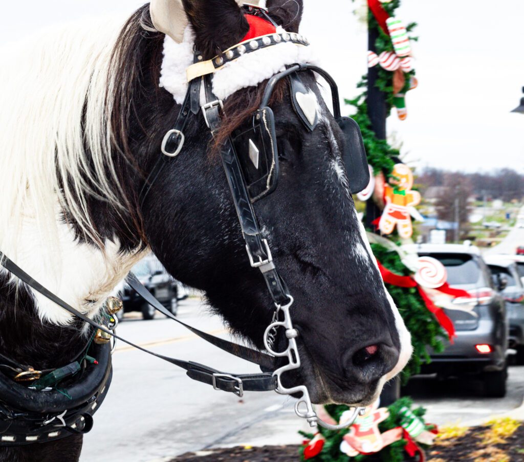 Gallery Mooresville Victorian Christmas